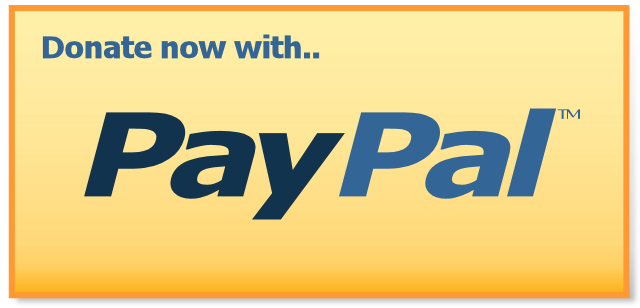 pay-pal